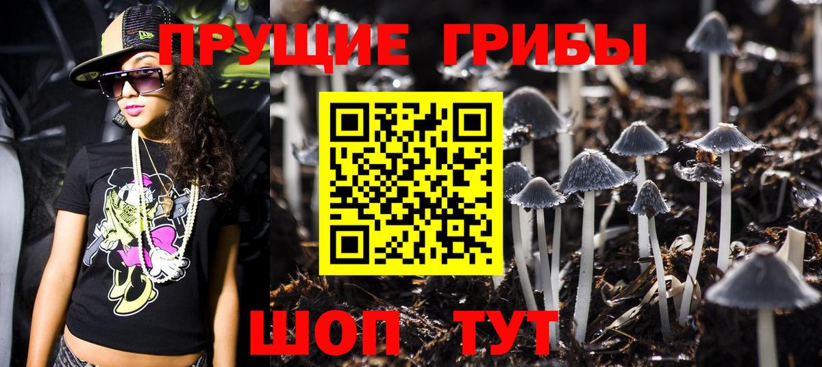 Галлюциногенные грибы MAGIC MUSHROOMS  закладки  Ликино-Дулёво  Галлюциногенные грибы ЛСД  Вход с VPN 